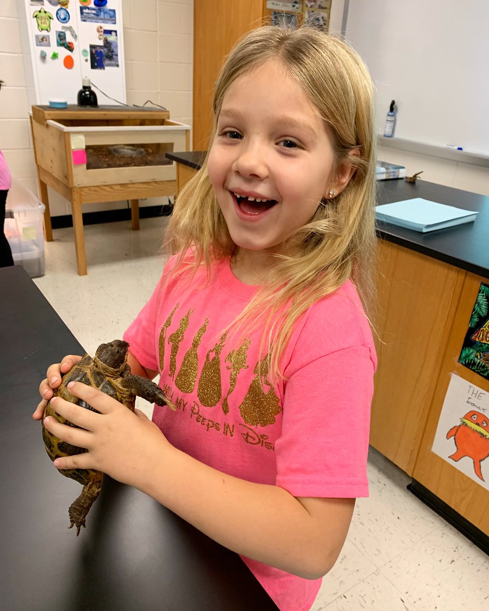 Mrs Geist tweet media