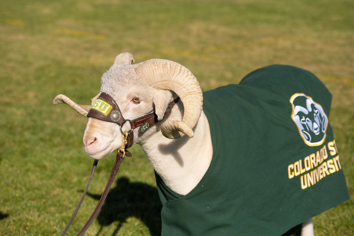 Tweet by Colorado State University