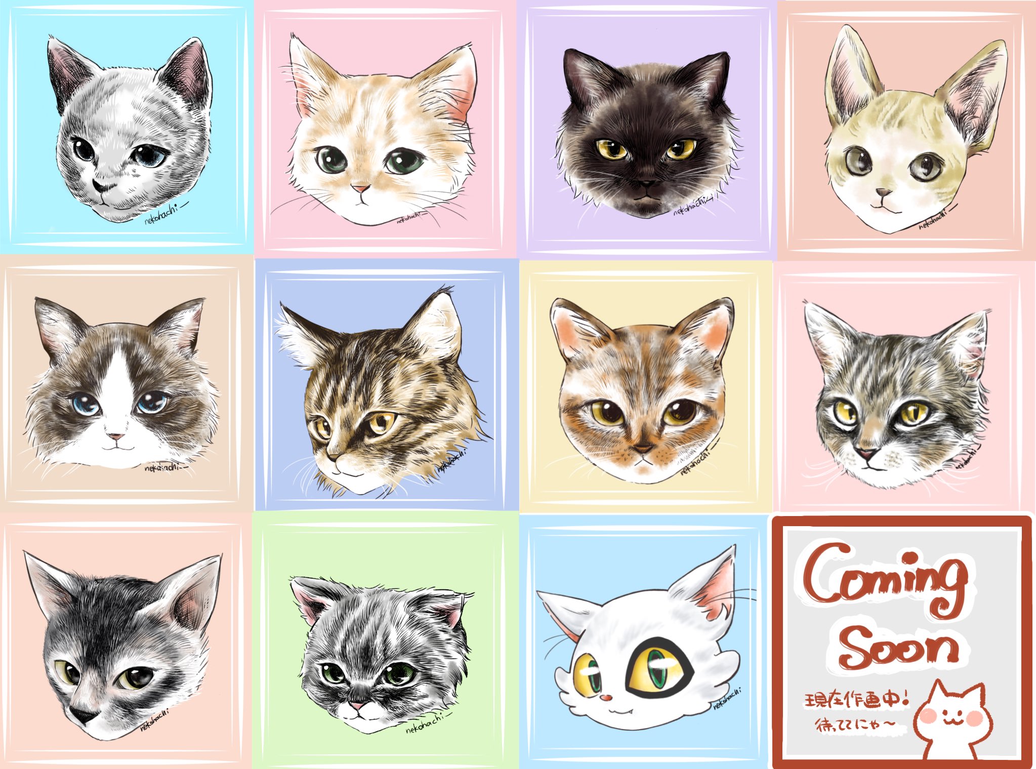 ねこはち 猫猫にがおえ屋 Maru0hachi Twitter