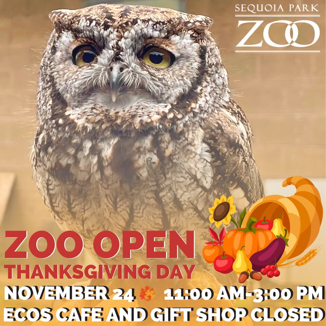 Happy Thanksgiving! The Zoo will be OPEN on Thanksgiving Day, 11/24, from 11:00 AM-3:00 PM with last entry at 2:30 PM. Ecos Café and the Zoo Gift Shop will be CLOSED. Stop by to wish all your furry, feathered, finned and scaly friends a happy holiday! #Zoo #Humboldt #Thanksgiving