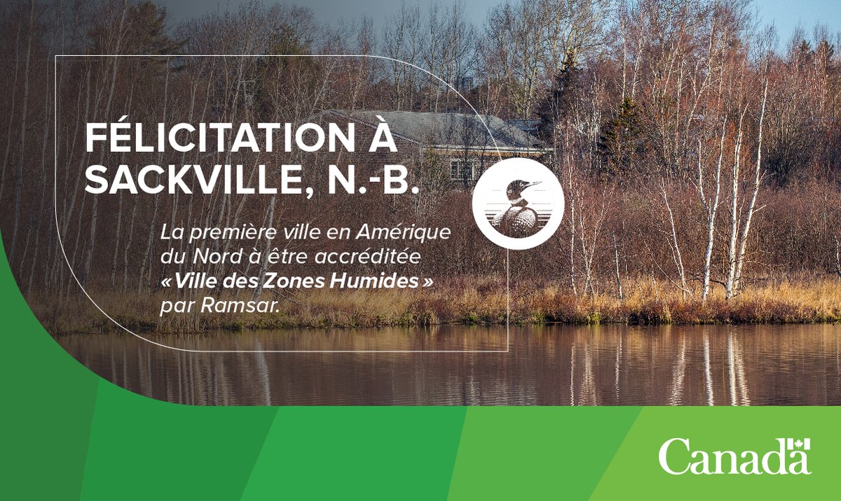 environnementca's tweet photo. Le bureau du Service canadien de la faune à Sackville félicite la @SackvilleTownNB d’avoir été reconnue à titre de “Ville des zones humides” de la @RamsarConv 
 
Découvrez comment la ville souligne l’occasion le 19 novembre: https://t.co/KVT9bG1Yk9 https://t.co/yYWjiYAIV2