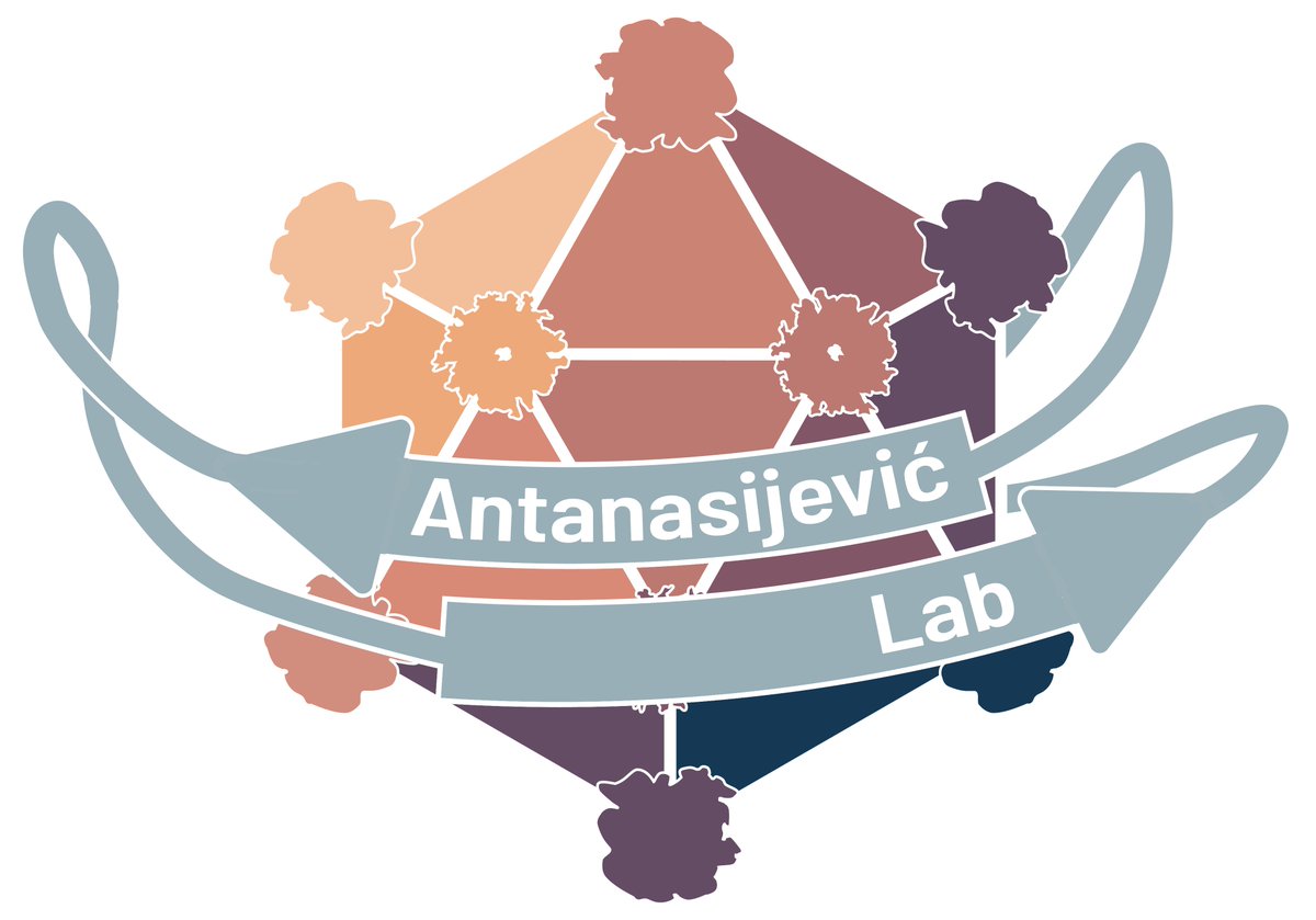 Welcome to twitter, Aleks <a href="/AA_Lab_EPFL/">Antanasijevic Lab @ EPFL</a>! Had a lot of fun working with my former colleague, mentor, and close friend on the logo for his new lab at EPFL which will continue his journey in structural virology and immunology. Can't wait to see what's to come from his lab! 💛