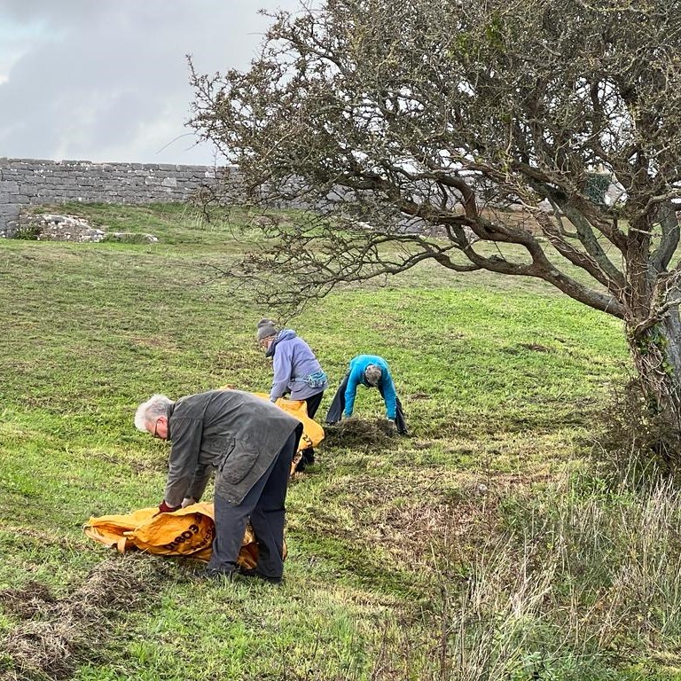 BerryHeadRanger tweet picture