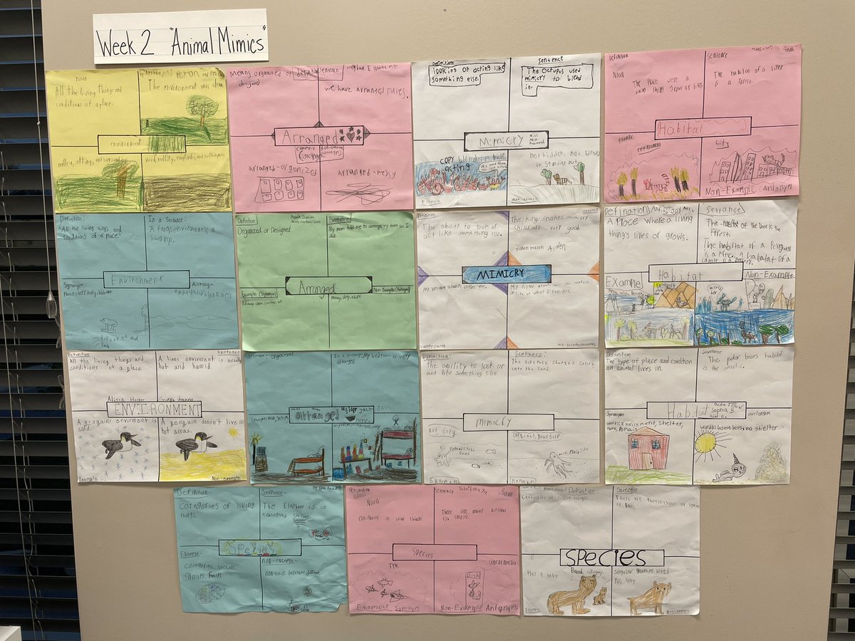 Grade 4 Unit 2 Week 2 Animal Mimics vocabulary using Frayer Models. <a href="/HoneygoElem/">Honeygo Elementary</a> <a href="/BCPS_ELA/">BCPS ELA</a> #BCPSmyview
