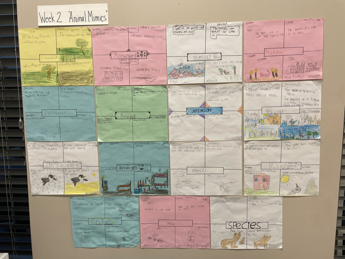 Grade 4 Unit 2 Week 2 Animal Mimics vocabulary using Frayer Models. @HoneygoElem @BCPS_ELA #BCPSmyview