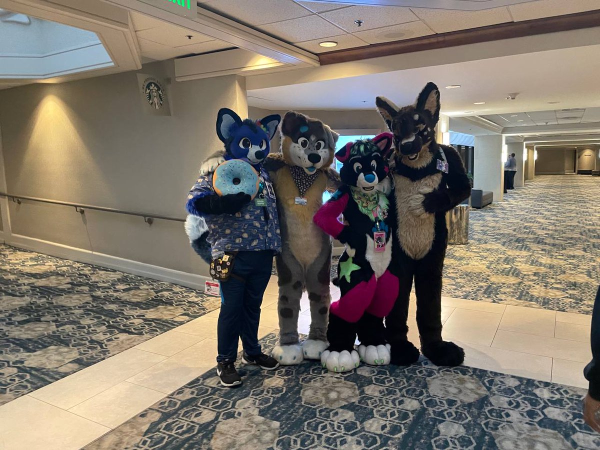 PerseidHusky's tweet photo. Oh hey, it's #FursuitFriday !

Here's some from when I went to PAWcon a bit ago. Fun times! https://t.co/JdesculKTI
