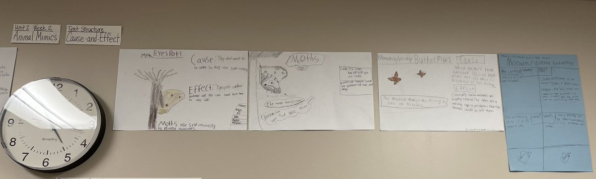 Wrapping up Grade 4 Unit 2 Week 2 Animal Mimics. Students created posters showing the Animal Mimicry in the text along with the text structure, Cause-and-Effect. <a href="/HoneygoElem/">Honeygo Elementary</a> <a href="/BCPS_ELA/">BCPS ELA</a> #BCPSmyview