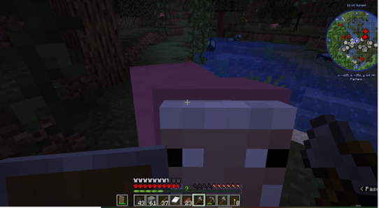 ChisculRodrigo's tweet photo. @BobicraftMC BOBIIIIIIIII acabo de encontar una oveja rosada en mi mundo hardcore https://t.co/naBxeX0Ffu