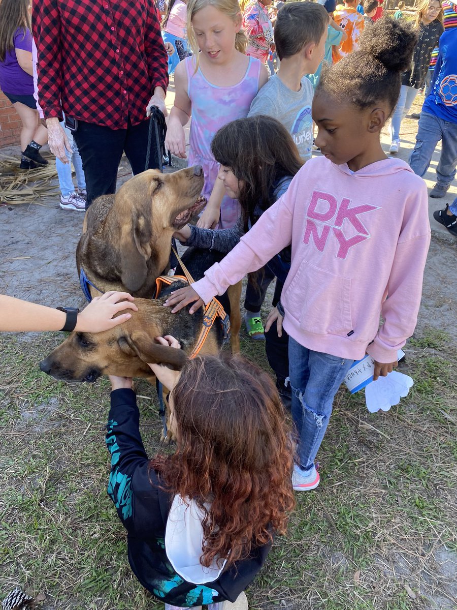 sdedragons's tweet photo. Our 1st Dragon Day of the school year is in the books! Students were able to turn in 50 blue dragon coins to earn this coveted day. We had games, snow cones, therapy dogs, and bounce houses! Thank you to King Kangaroos LLC for donating the bounce houses!!! https://t.co/AIVa4mMYNp