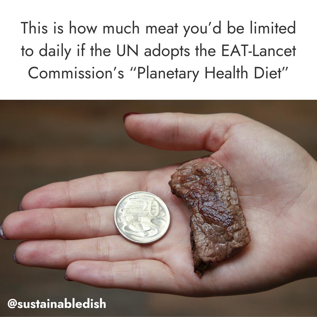 This is not okay. A recent study showed that if the US eliminated ALL MEAT from our diets, we would only decrease GHG emissions by 2.6%, or 0.36% globally. At the same time, we’d suffer from even more nutrient deficiencies and our obesity rates would climb.