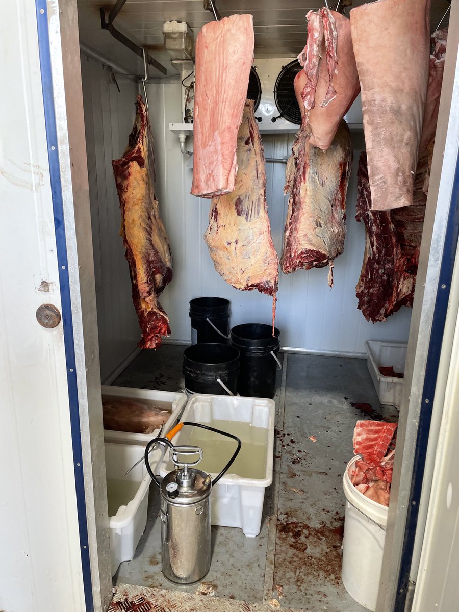 Xmas beef, pork and lamb on the go at Barfield Station. Getting ready to start smoking the hams.🎄🎄