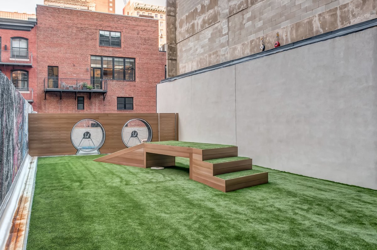 1213walnutapts's tweet image. We love your furry friends and we know they deserve the best. They'll love the elevated dog park to run around and meet new friends.