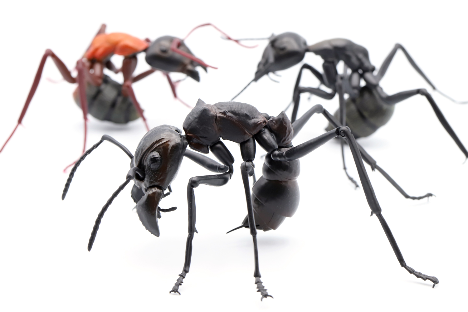 ブラジル国歌: 各節の意味と解釈