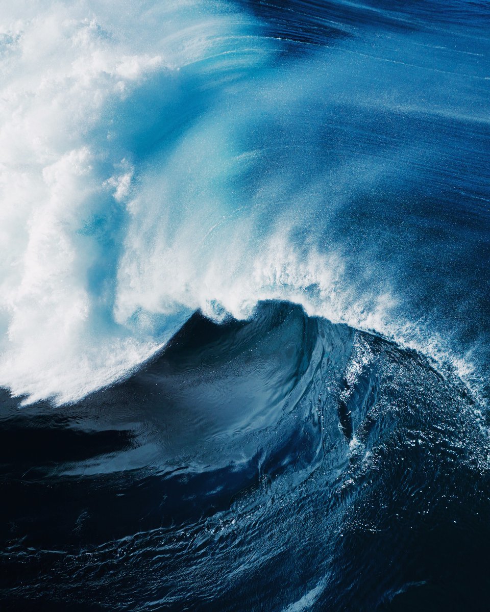 Ryan Pernofski tweet media