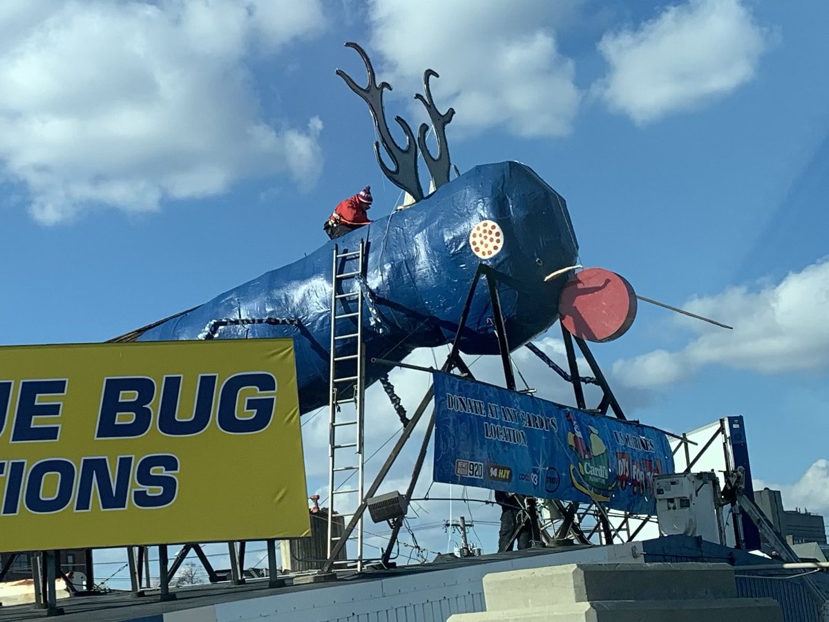 Ryan Welch on Twitter "It’s not the holiday season until Nibbles