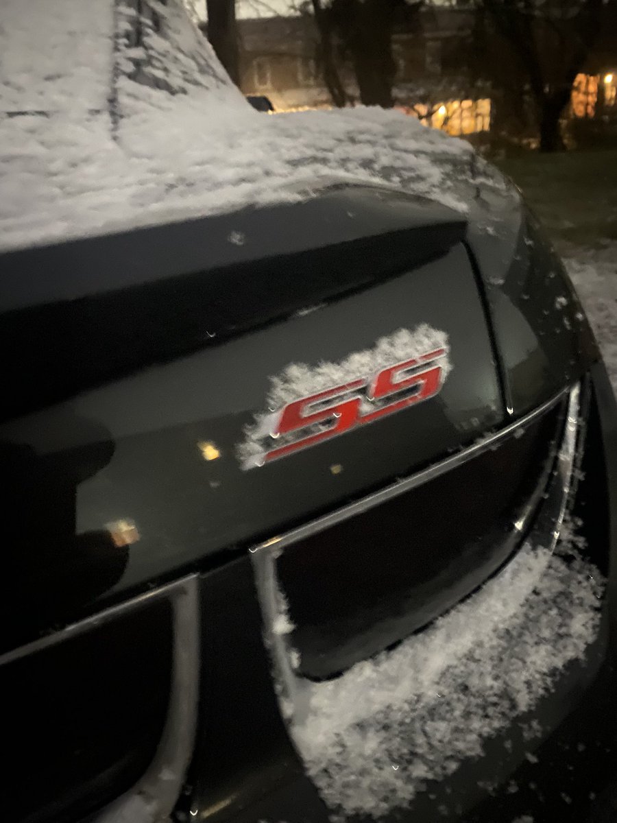 P🌴🦈 tweet media