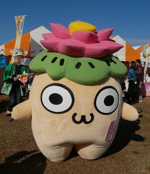くまモン せんとくん スギッチ ご当地キャラplus