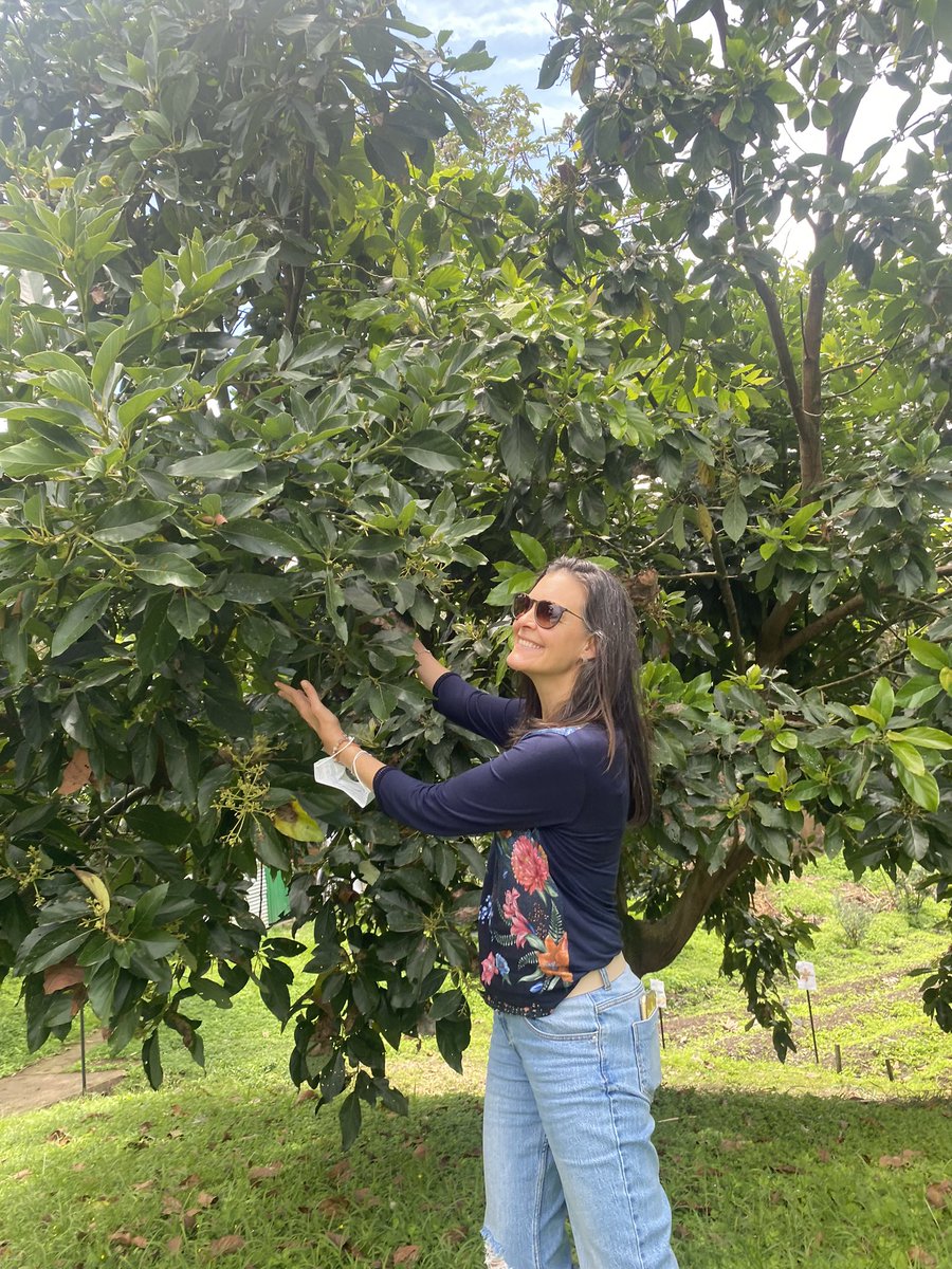 Aleja_SharkCol's tweet photo. El camino de emprender con propósito y triple impacto implica entender al emprendimiento como sembrar un árbol🌳; requiere paciencia y compromiso para ver los resultados y es indispensable nutrirlo con tus valores para materializar tu sueño desde la coherencia. https://t.co/LfVYI0OfFT