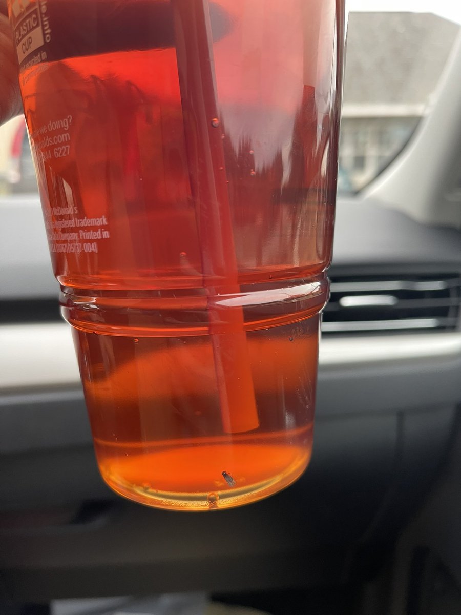amp4988's tweet photo. Thank you @McDonalds for adding a bug to my tea https://t.co/ggcClCCvEP