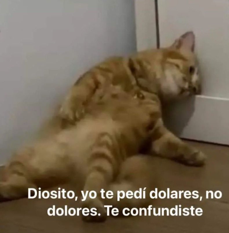 paracetamor's tweet photo. https://t.co/TGDJM0BKrA