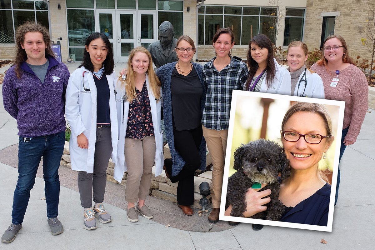 Tweet by K-StateVetMed