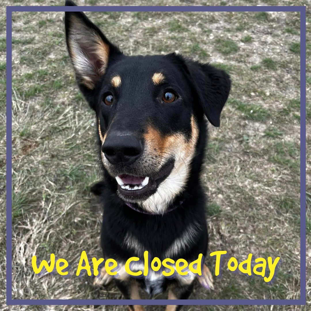 We wish you all a happy #Thanksgiving. We are closed today so that our staff can celebrate with their families. 

Maximus wants you to know we are open again tomorrow for normal business hours of noon-6pm. He's hoping you'll choose him as your new best friend for #BlackFriday .
