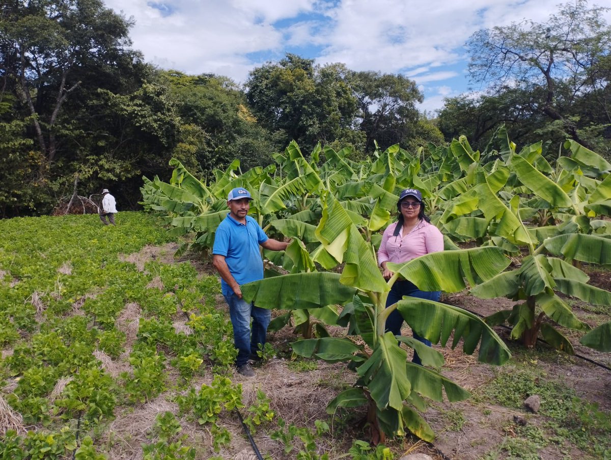 Agua y Suelo para la Agricultura tweet media