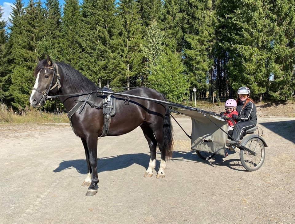 Fine minner på Facebook. Snille, kloke Tordenskjold 🦄❤️