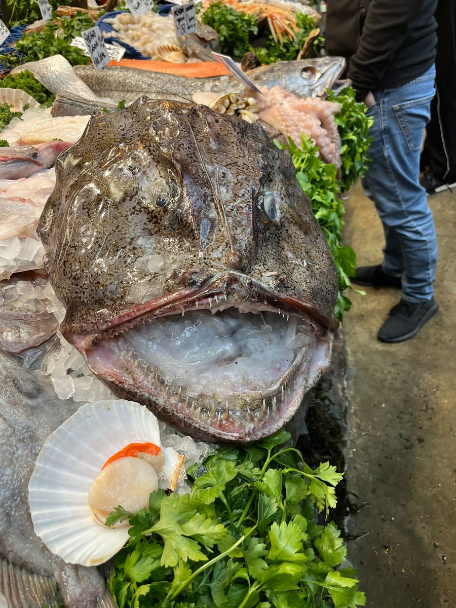 Simon Hughes tweet media