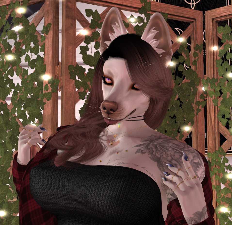 CiasulloSurrie's tweet image. Finally put together another @Abnormal_Event mod, this one is the Nillayote by @evilstoreSL! Ya gave me a reason to get the coyote head and I love what you did with it! :D
Makeup is by @RATBURIAL
Brat Lip is @PinkToyBoxSL