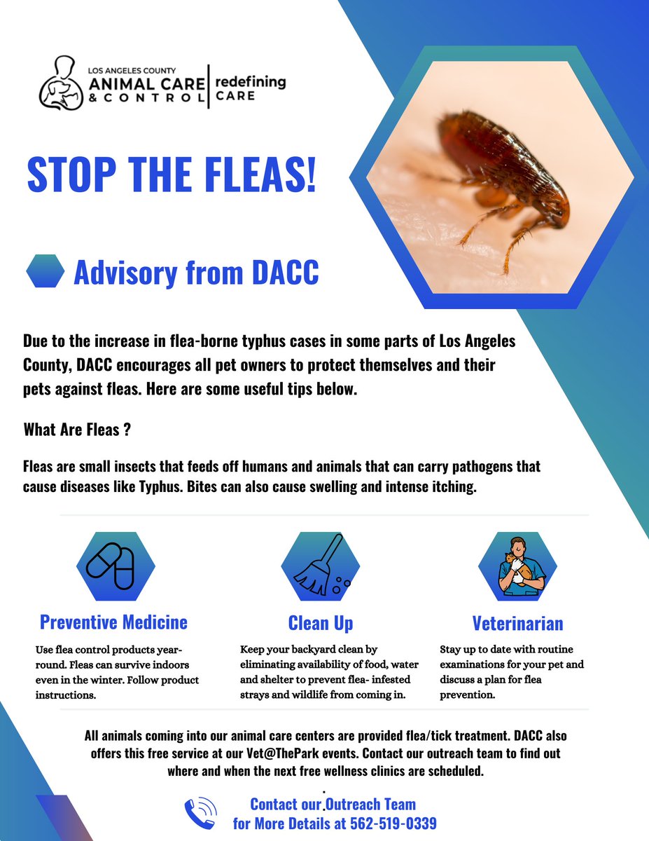 LACoAnimalCare's tweet photo. Due to the increase in flea-borne typhus cases in some parts of Los Angeles County, DACC encourages all pet owners to protect themselves and their pets against fleas. Here are some useful tips below. #DACCares #PleaseShare https://t.co/RWkG64ZxQU