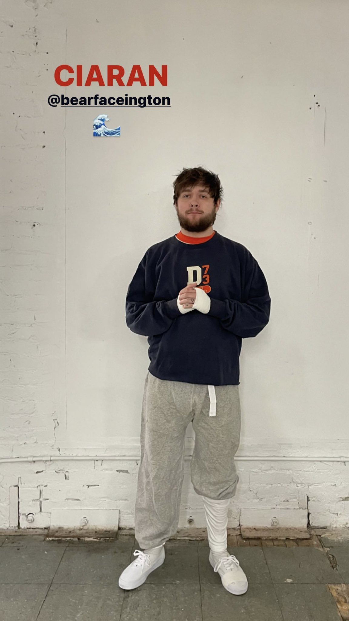 bearface archive (bearfacearch1v3) / Twitter