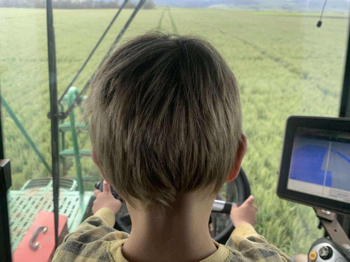 Sprayer ear washing wheat.
4 year old ear bashing dad