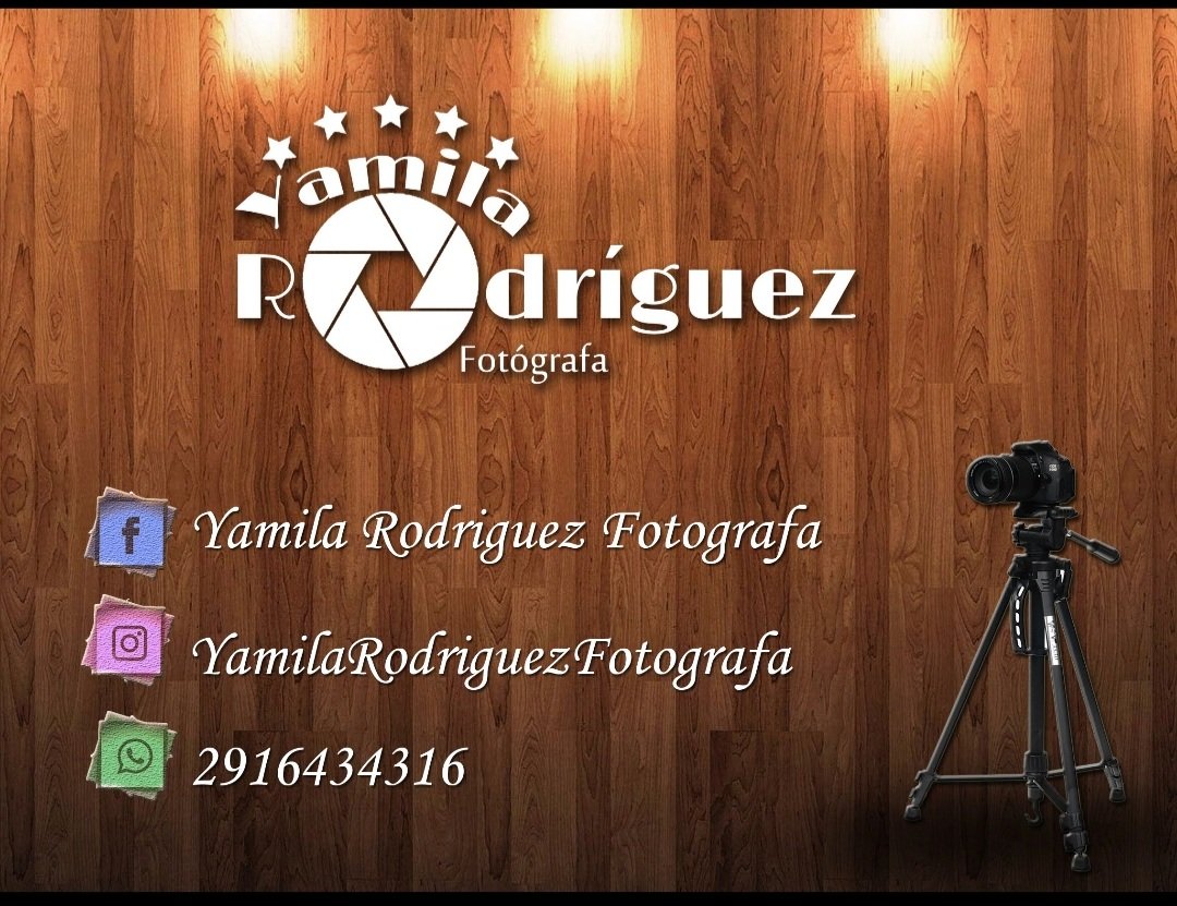 Sesión de fotos Navideña 🥰 turnos disponibles!