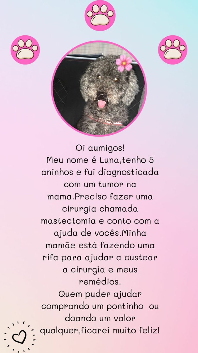 AC91s's tweet photo. Quem puder ajudar à compartilhar .....contato da mamaepet Jhamily Frazão (98)99170-0154

@Clara @luanadeccastro @Nessabyme https://t.co/LIHgKnmBEe