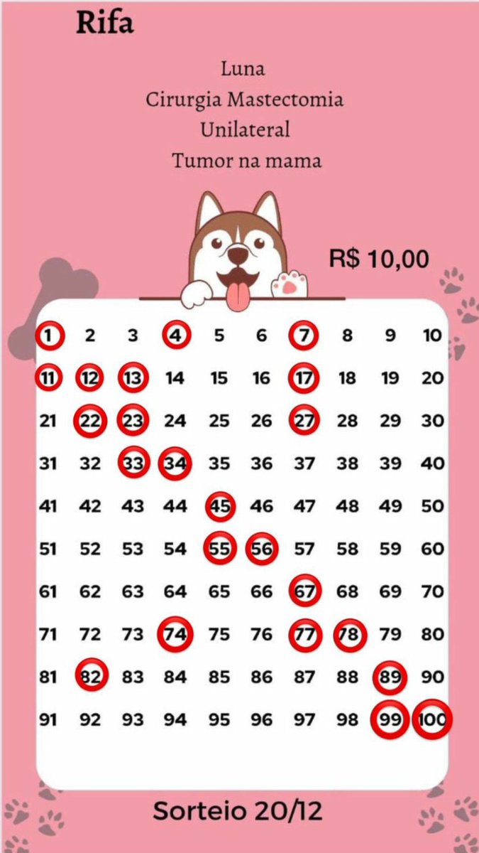 AC91s's tweet photo. Quem puder ajudar à compartilhar .....contato da mamaepet Jhamily Frazão (98)99170-0154

@Clara @luanadeccastro @Nessabyme https://t.co/LIHgKnmBEe