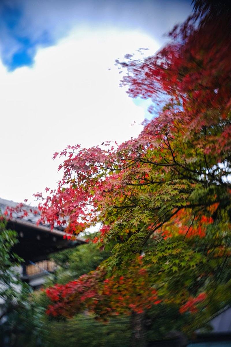TakaMuto_photo's tweet photo. #oldlens #C_mount 
#XE4 #fujifilm #fujifilm_xseries https://t.co/mob10HJBx3