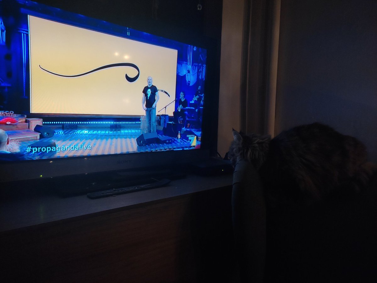 vanadia_anna's tweet photo. La delusione... @welikeduel 

#propagandalive 
@zdizoro
@makkox https://t.co/zyaJlBl0Sl