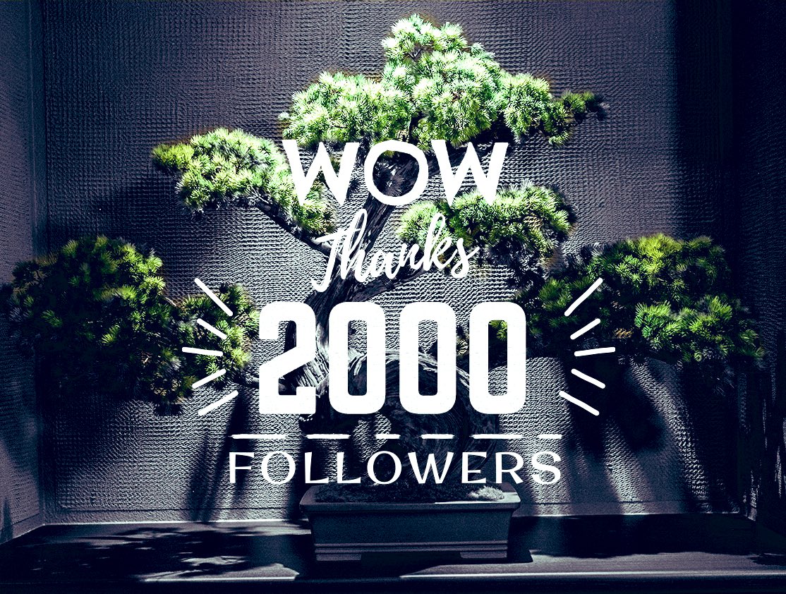 おはようございます☀
皆様のお陰様で、フォロワー2,000人達成しました❗️
これからもどうぞ、宜しくお願いしますばい👋

#ありがとうございます 
 #土日はフォロワーさんが増えるらしい
 #いいねした人
#フォロバ 
#相互 
#감사합니다