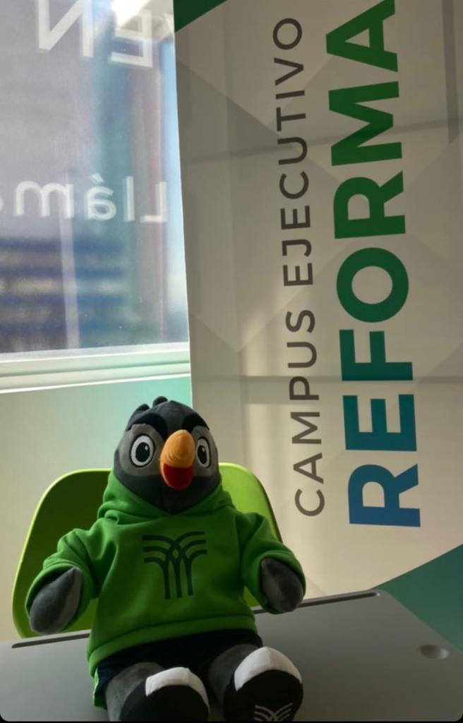 TecmilenioCDMX's tweet photo. Hoy nos visitó Alex el Halcón en Tecmilenio Reforma.🦅
¿Lo has visto? 👀
#TecmilenioCDMX https://t.co/sPX6bLeB4v