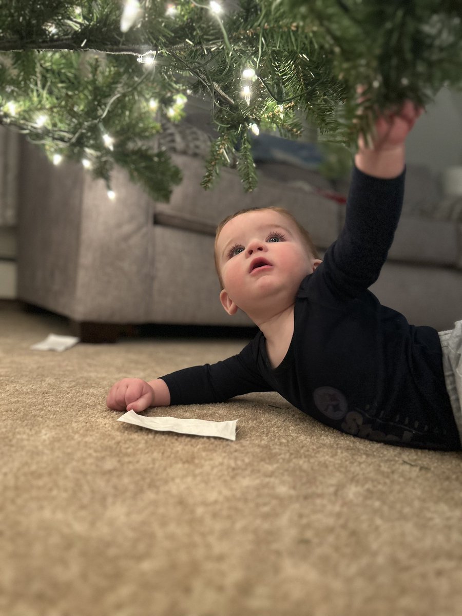 This guy is loving his first look at the Christmas tree.
