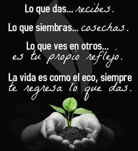 PauloCoelhoDice's tweet photo. https://t.co/qoNeKnfgVk