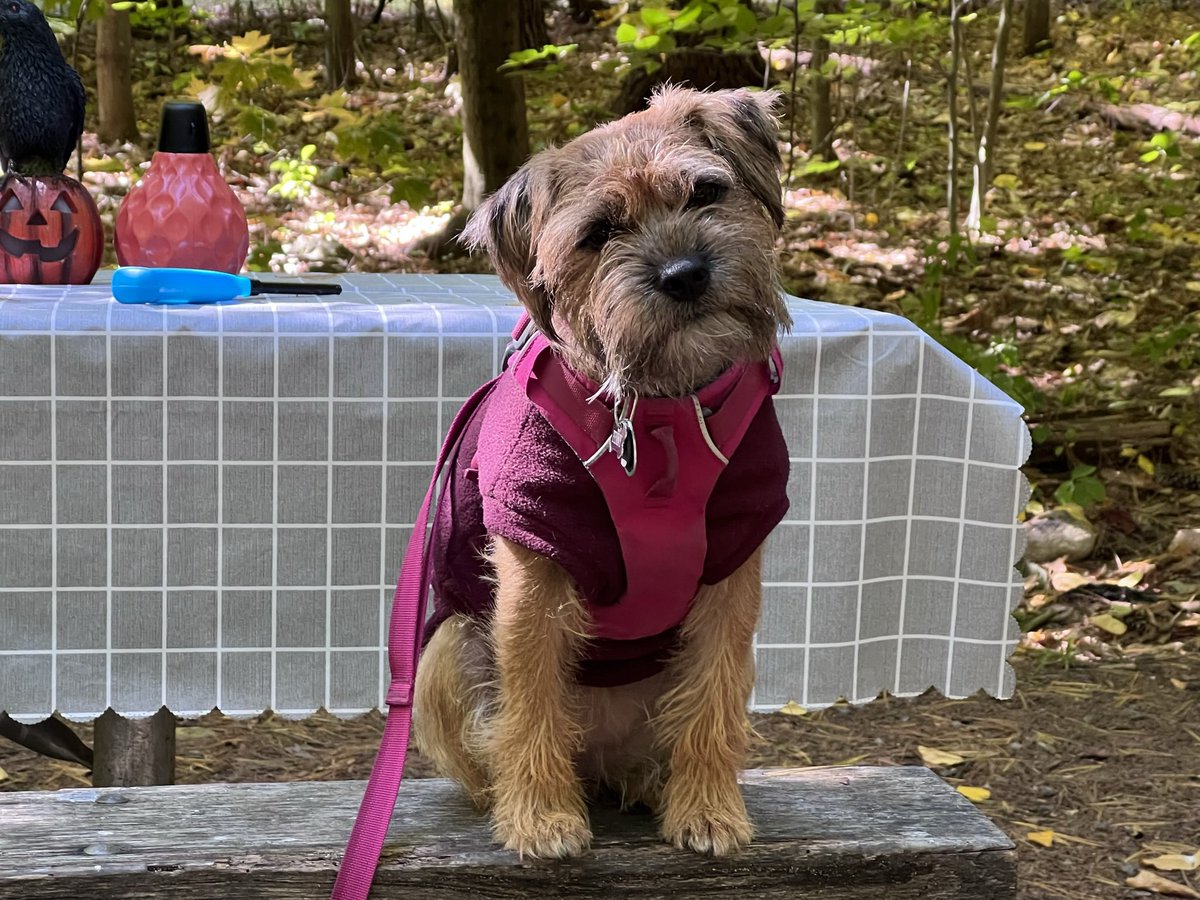 Pals, we’ll see you over on IG.  For now, I am sharing Mum’s account, @ jacquifleming. See you there 👋 #BTPosse