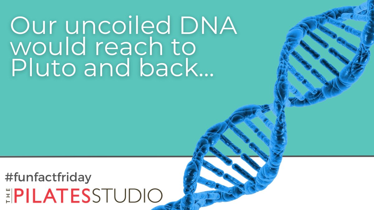 There is a dispute on how MANY times your DNA could reach Pluto and back. But even 1 round trip is mind-blowing.  #funfactfriday