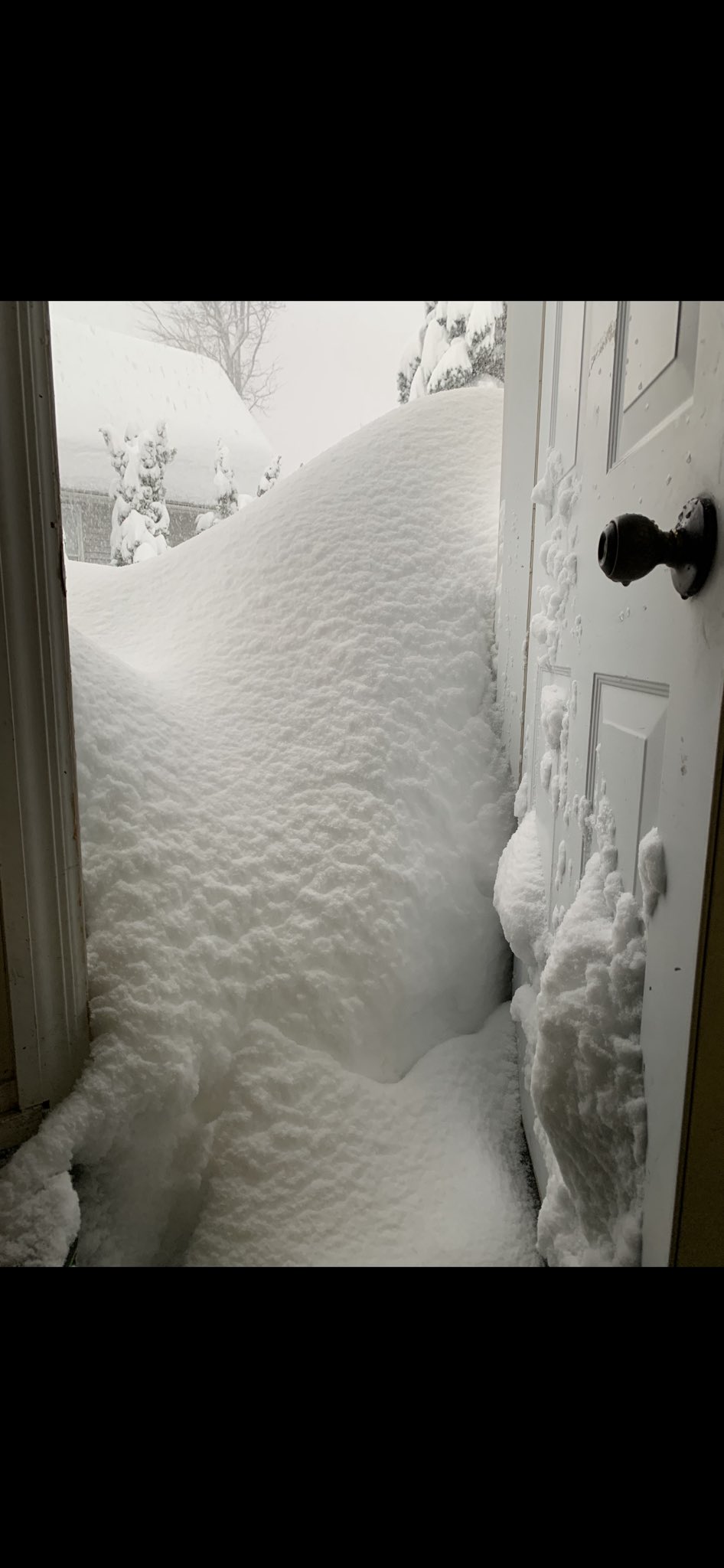 Patrick Hammer on Twitter "Can't get home so the family shared this