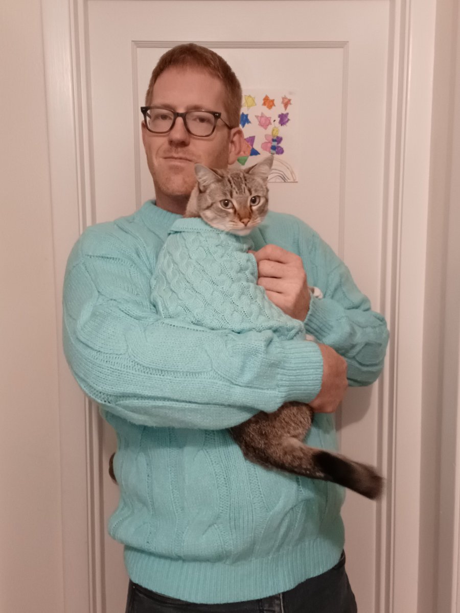 scotmaupin's tweet photo. Good things happening over here. #catsinsweaters https://t.co/S5ByFA3GcC