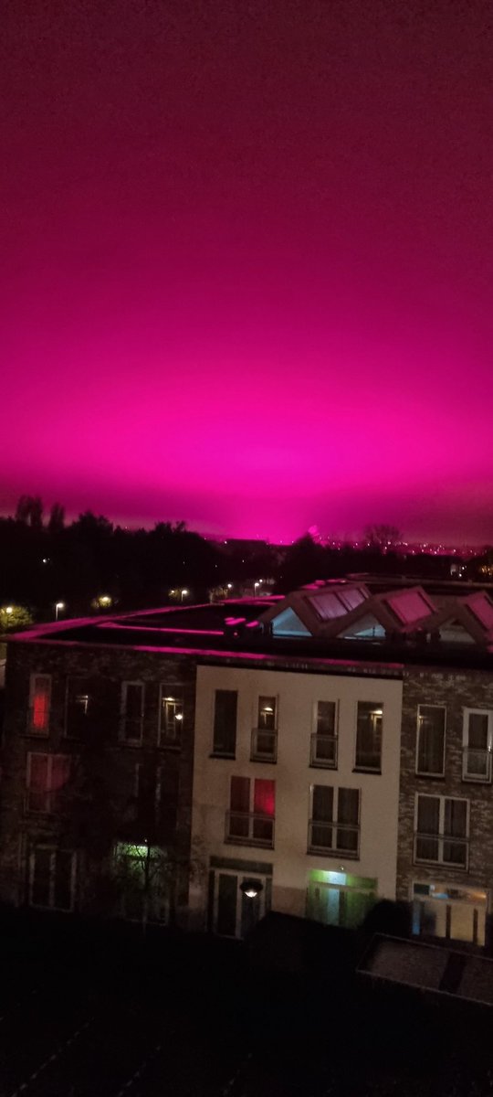 niko Hoogeveen tweet media