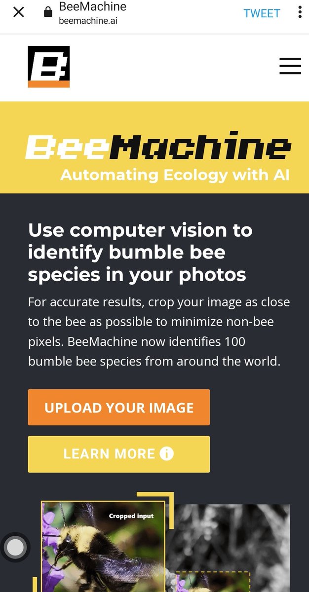ksuderekc's tweet image. 👀 @BrianSpiesman @banazir
@KState @KSUEntomology & @kstate_CS KDD Lab @kstate_bigdata collaboration‼️
@kstate_acmSIGAI @KStateEngg @DavidRosowsky @tcrksusig @BethMontelone @KSUavpr14 @kirbyandmb @KStateGradDean @kentglas @safiaMalallah
KDD: bit.ly/ksuderekc_KDD