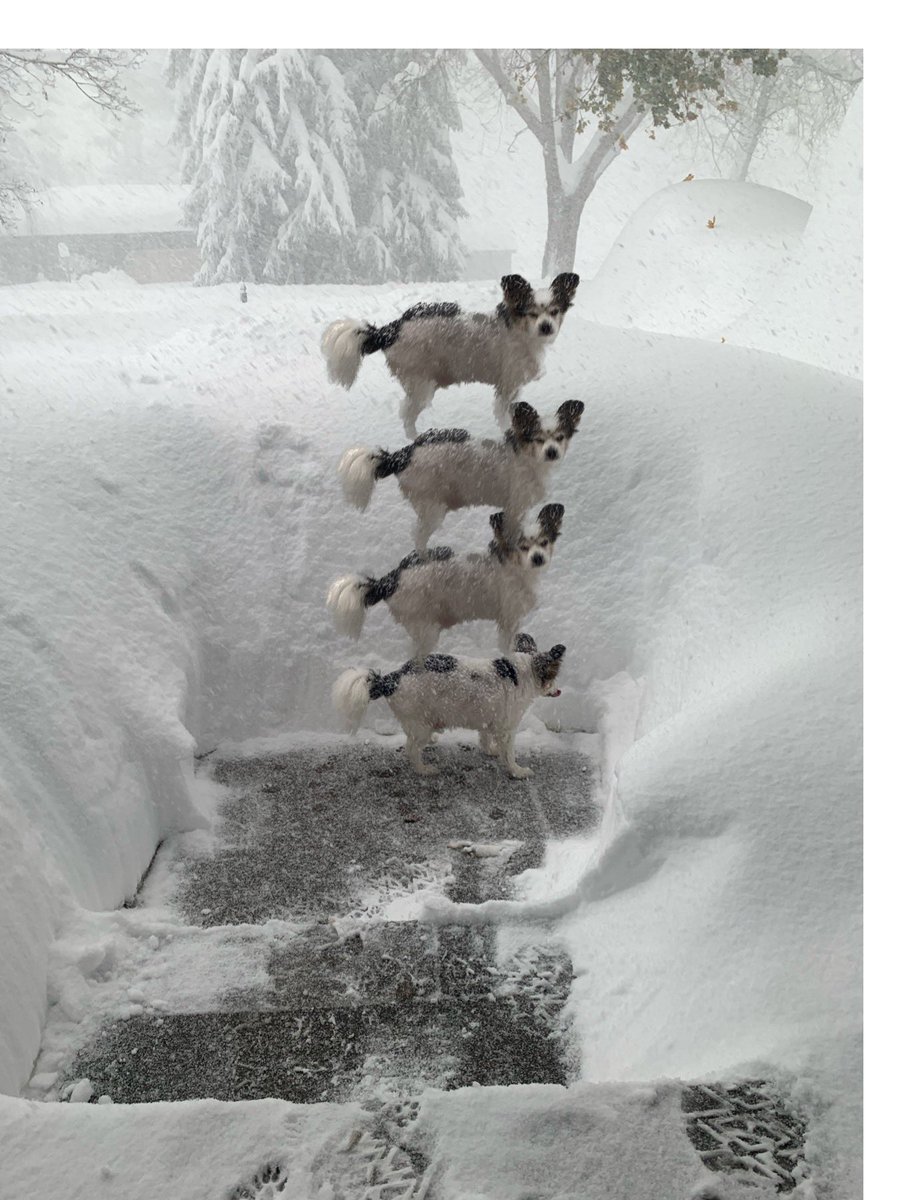 We had 3.5 Kirbys by about 2 pm… 

#LakeEffectSnow #BuffaloStorm2022 
#buffalosnow