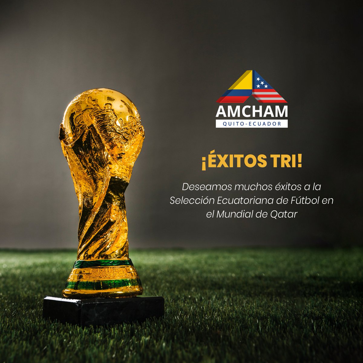 amchamec's tweet photo. Desde #AmchamQuito queremos desear el mayor de los éxitos a @LaTri en este mundial #Qatar2022 que está por iniciar. ¡Sí se puede! 🇪🇨 https://t.co/JdbgK3TdXE